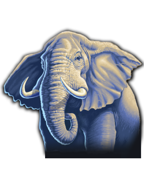 Elephant Graphic